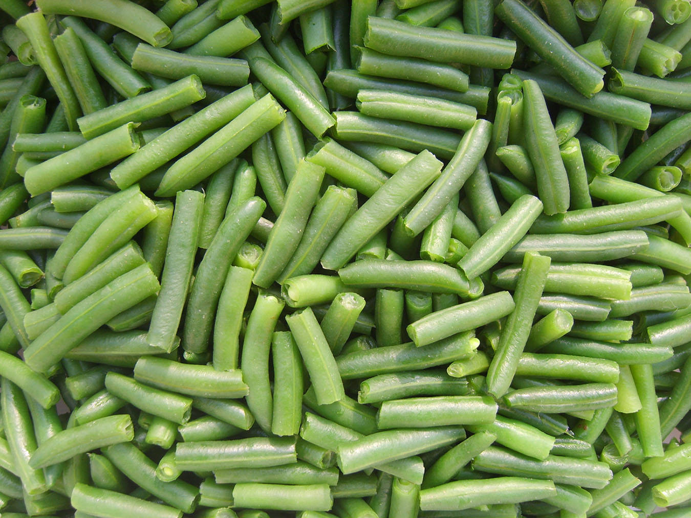 Snapped String Beans Wallpaper