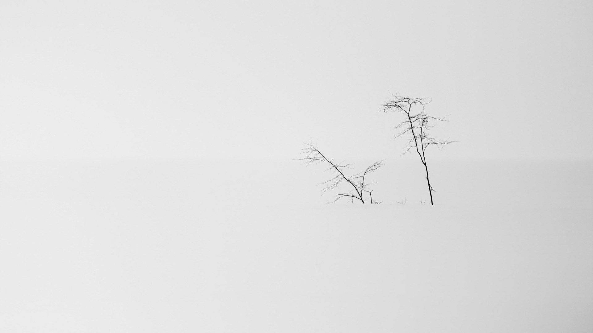 Snowy Landscape Minimalist Aesthetic Laptop Wallpaper