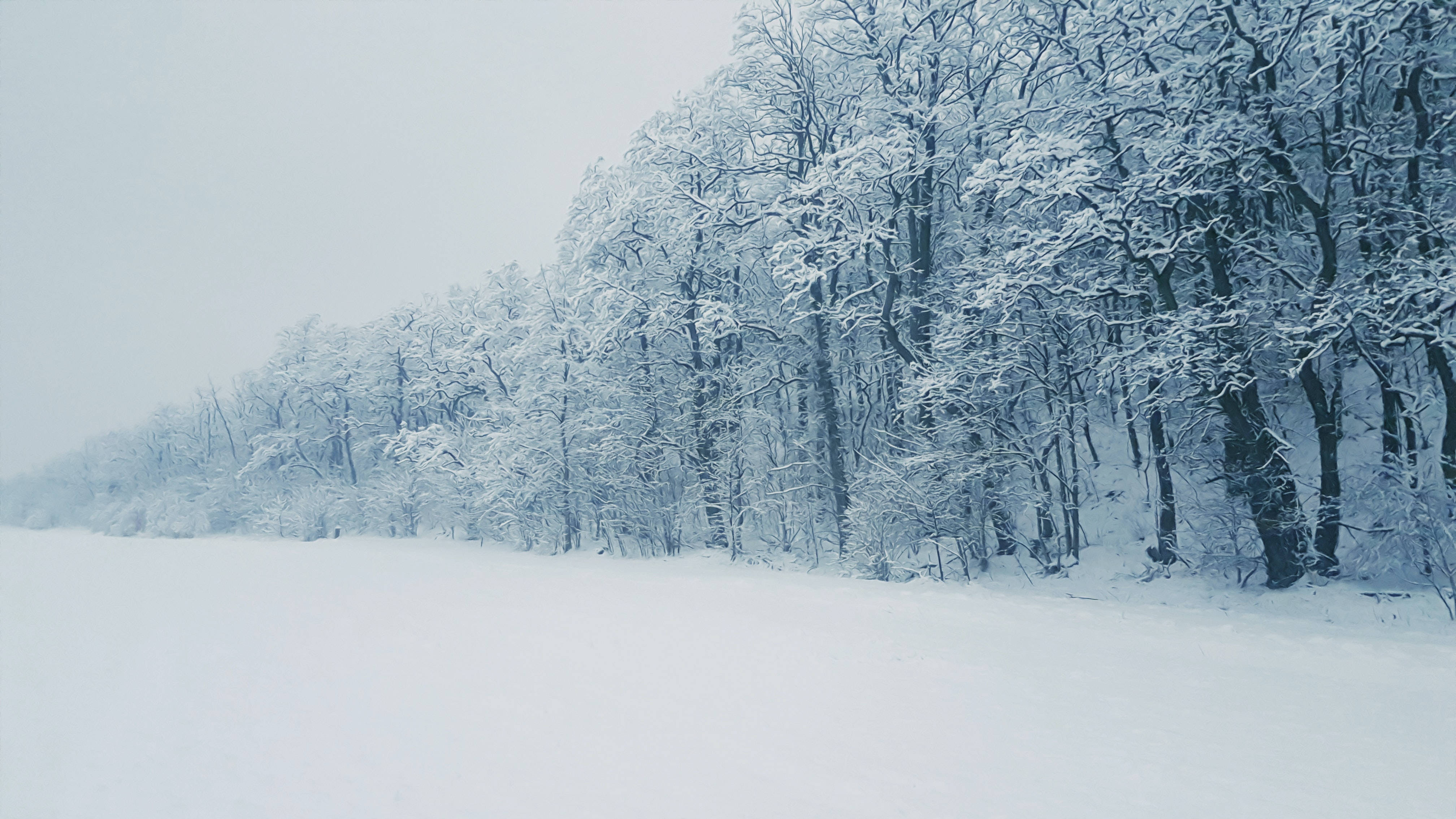 Snowy Winter Scenery And Frosted Trees Wallpaper