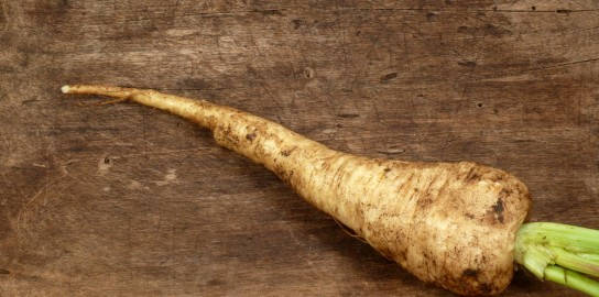 Soiled Parsnip Root Crop Vegetable Wallpaper