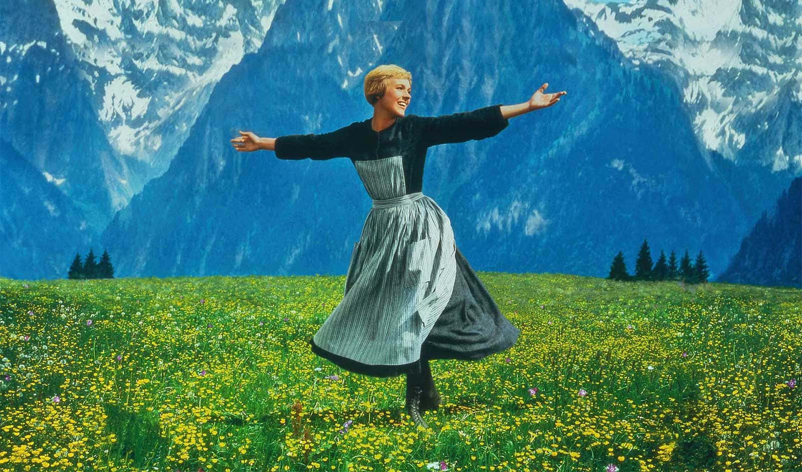 Sound Of Music_ Meadow Twirl Wallpaper