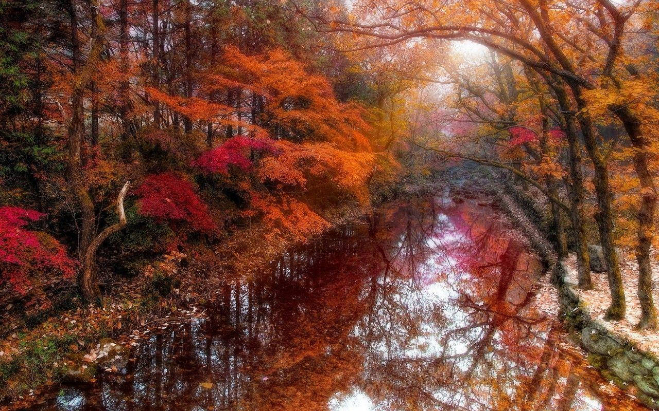 South Korea Reiver During Autumn Wallpaper