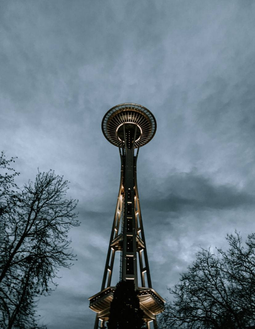 Space Needle With Trees Seattle Rain Wallpaper