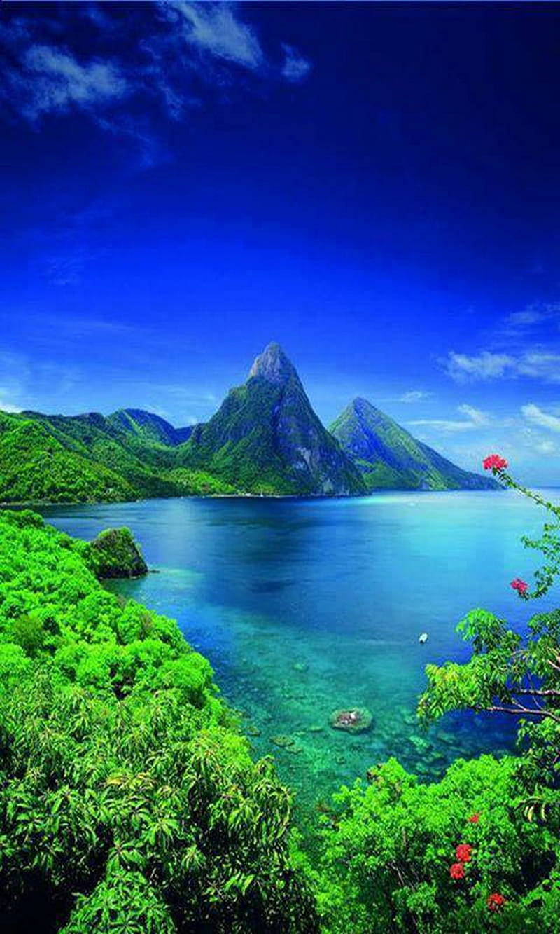 St. Lucia Lush Green View Wallpaper