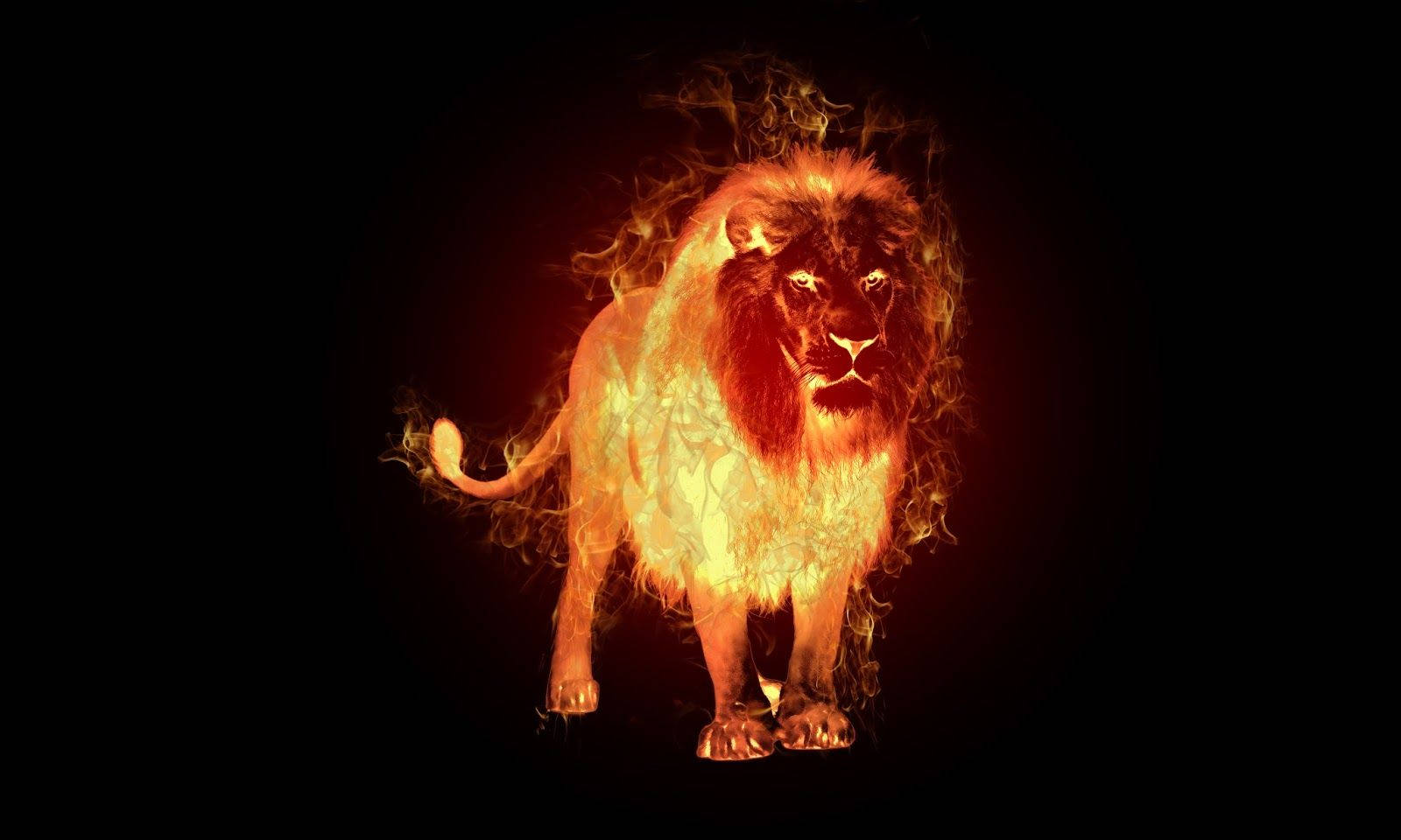 Standing Fire Lion In Black Backdrop Wallpaper