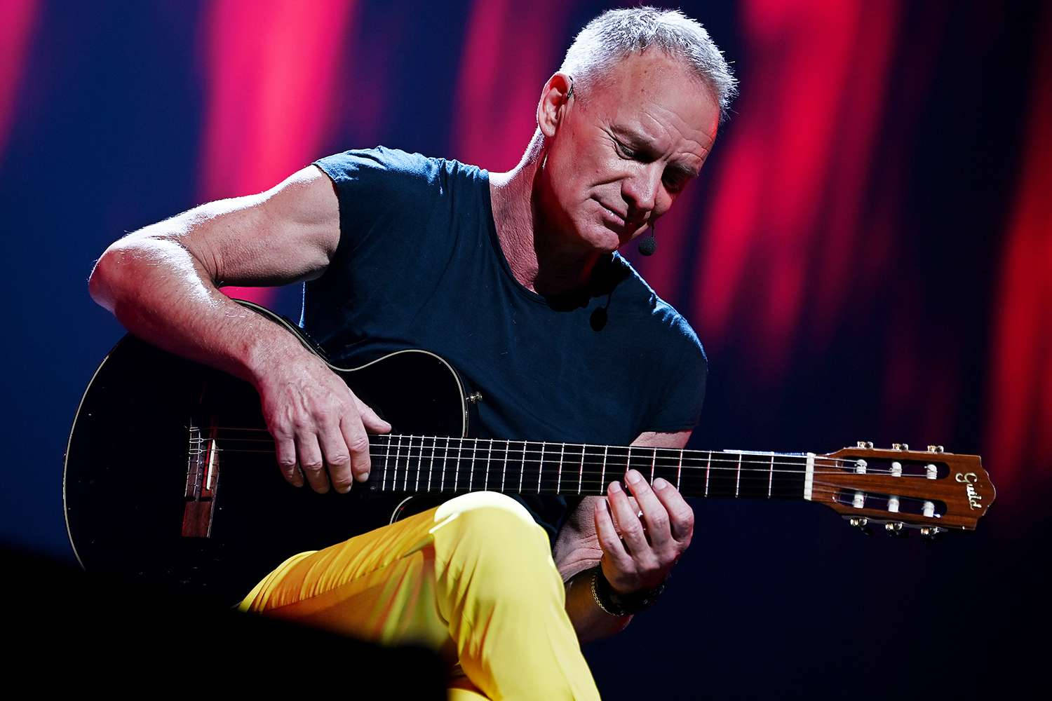 Sting Male Musician Wallpaper