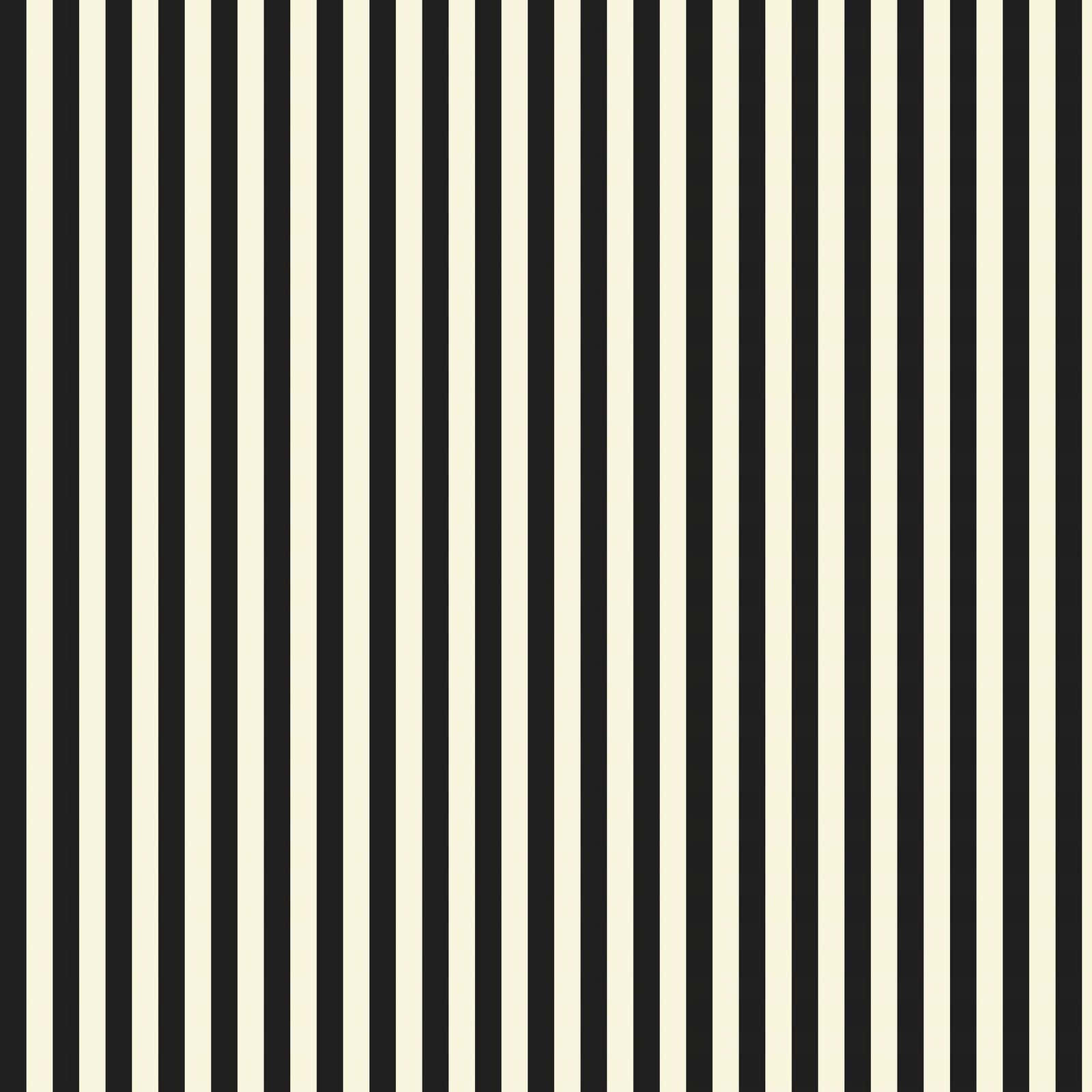 Striking Black And White Stripes Wallpaper