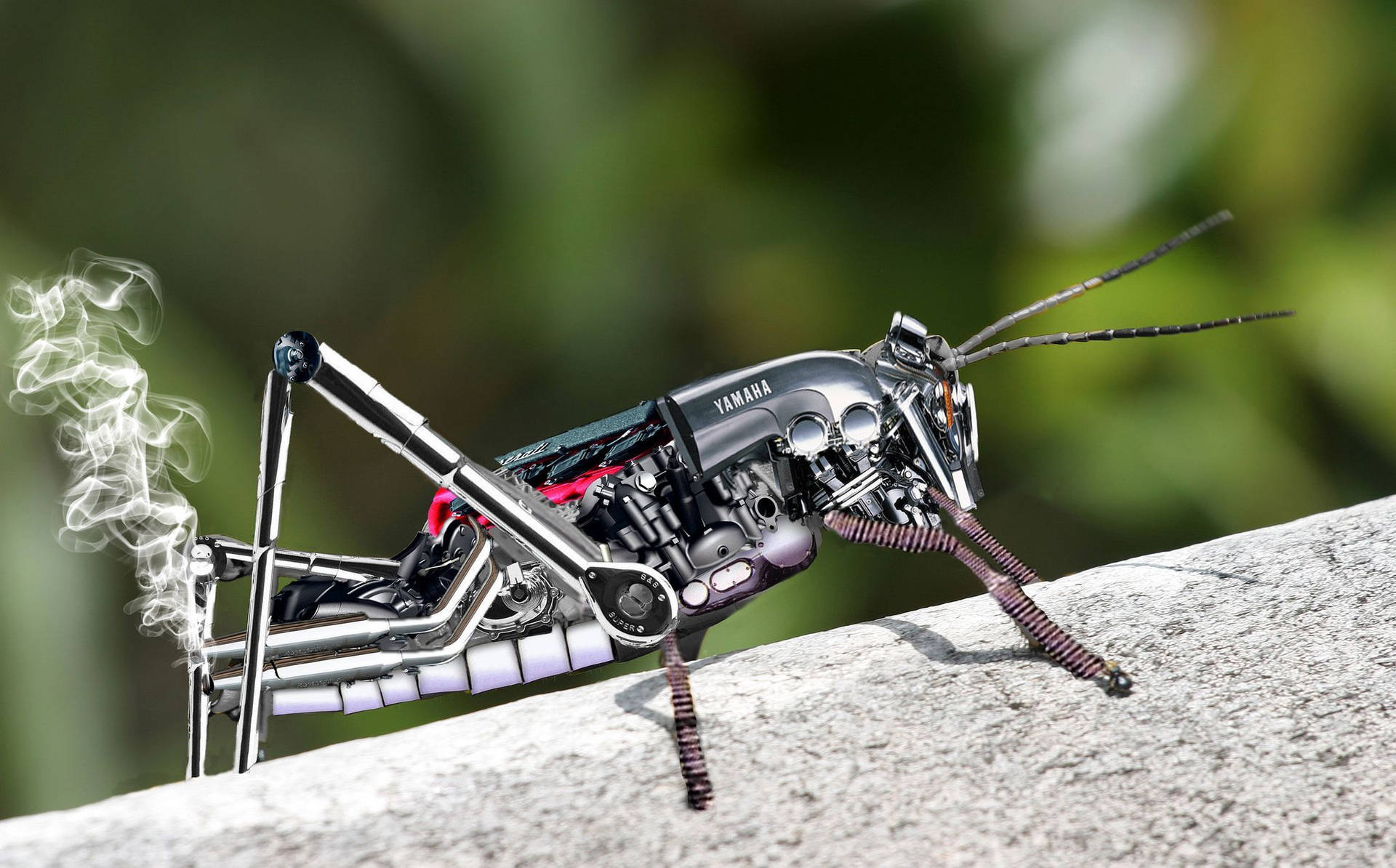 Stunning 3d Rendered Metal Grasshopper. Wallpaper