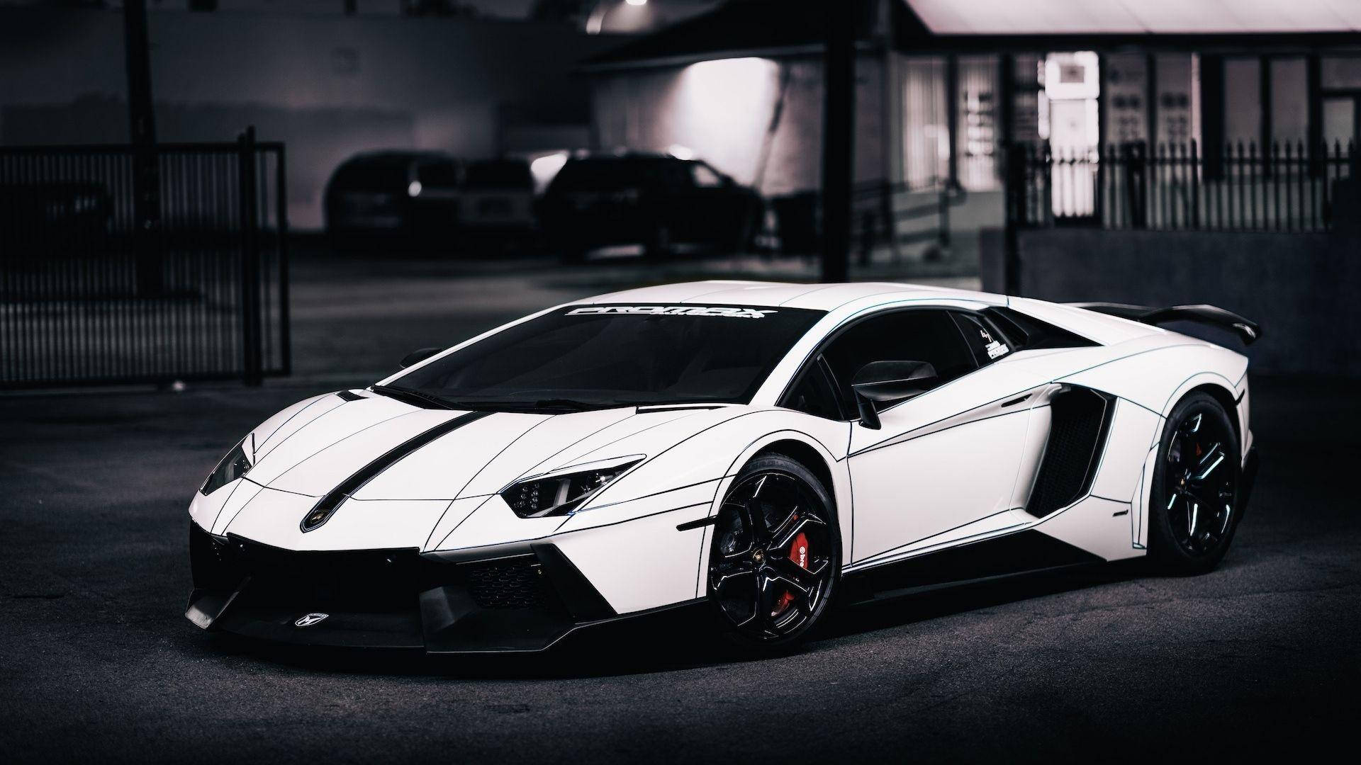 Stylish White For Iphone Lamborghini Display Wallpaper