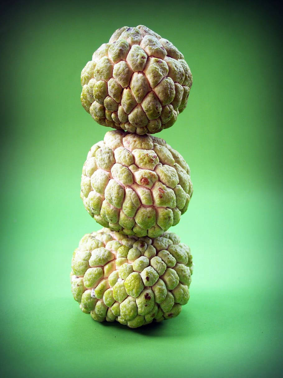 Sugar Apple Portrait Photograph Wallpaper