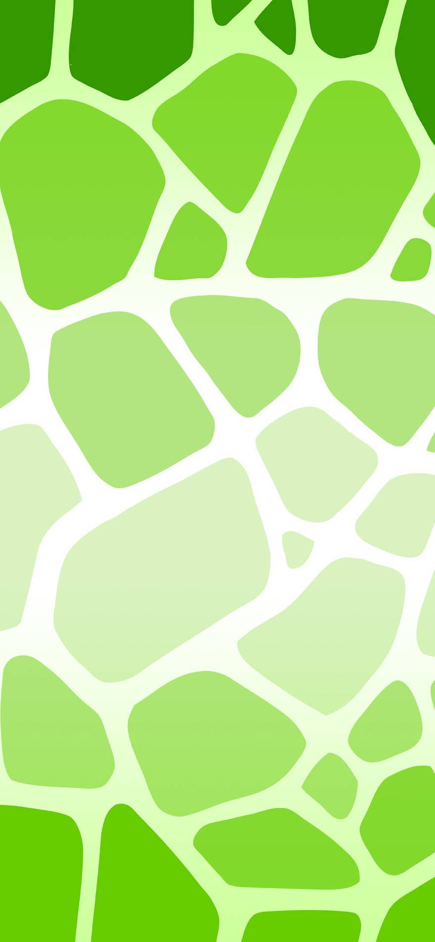 Super Light Green Cow Print Phone Wallpaper