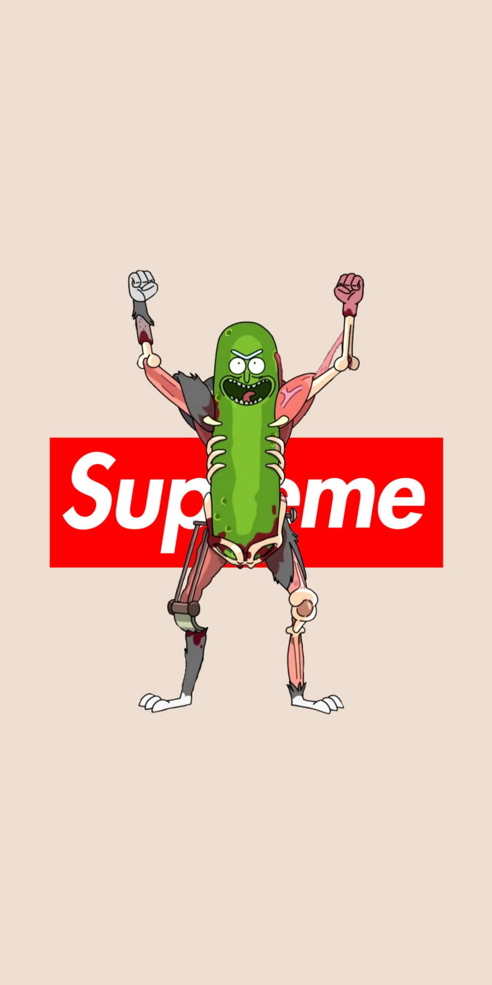 Supreme Pickle Rick Wallpaper