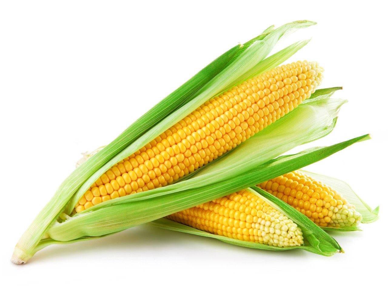 Sweet Corns In White Wallpaper