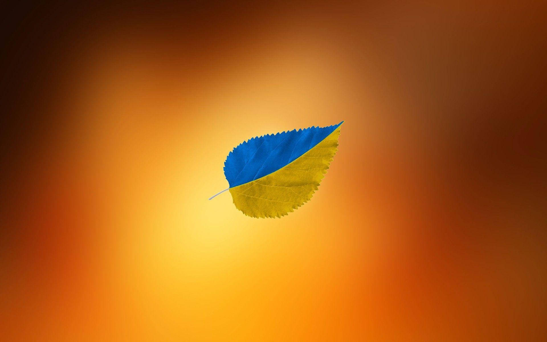 Symbolic Representation Of Ukrainian Pride - The Flag Leaf Wallpaper