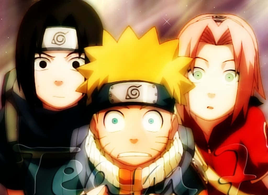 Team 7 Unites! Wallpaper