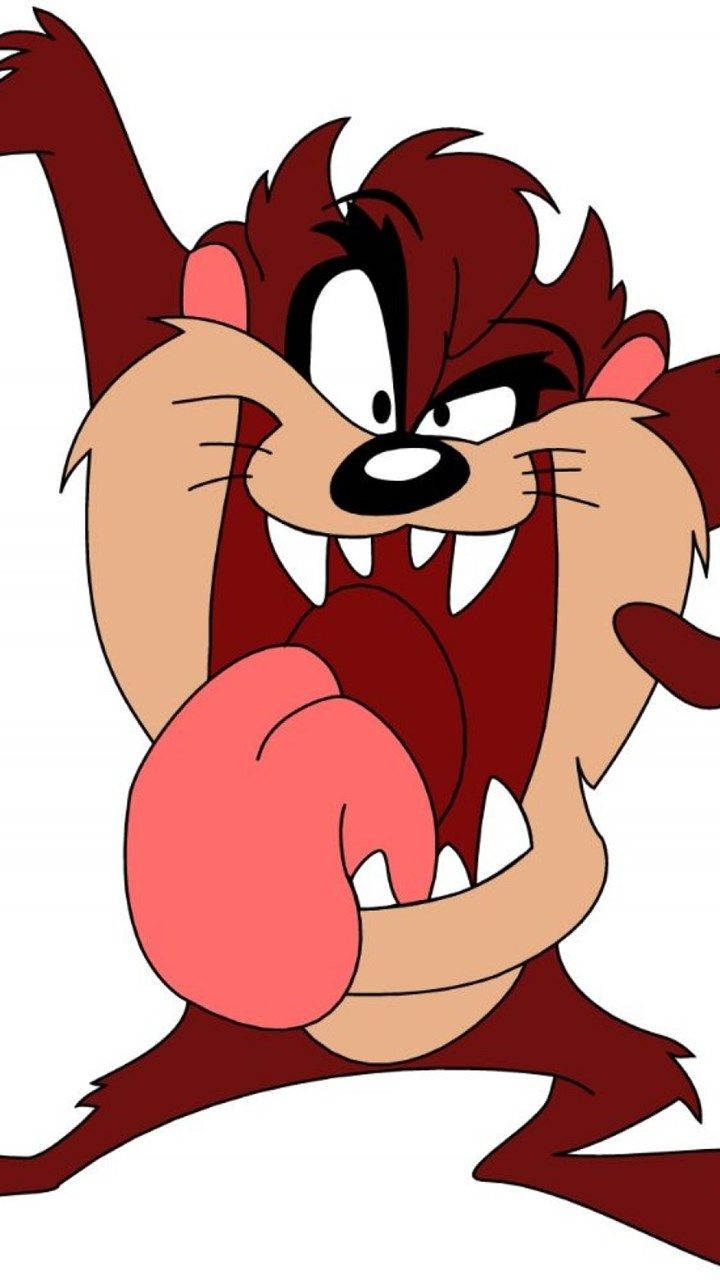 The Tasmanian Devil Is One Of Looney Tunes Most Iconic Characters! Wallpaper