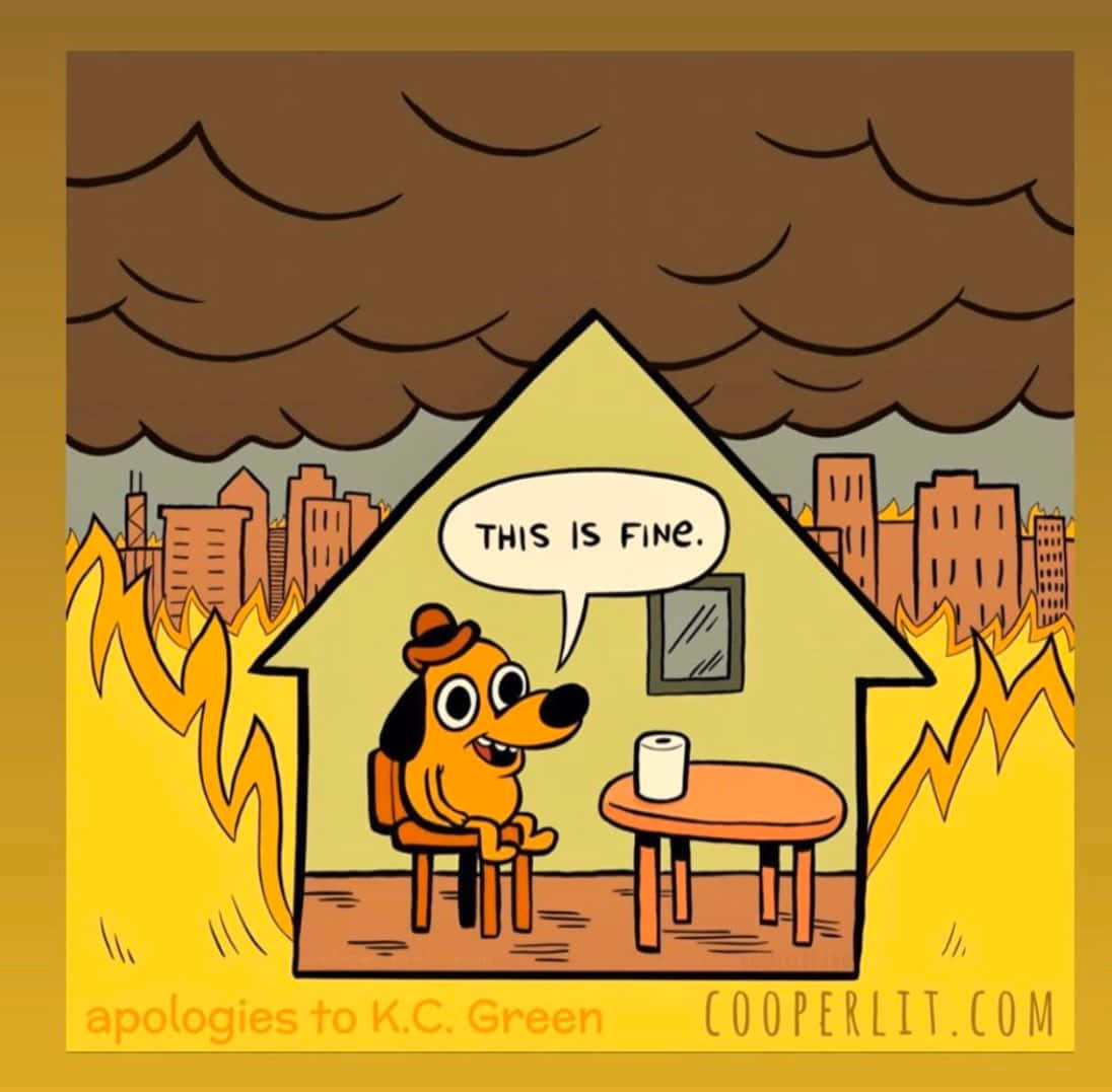 This Is Fine Dog In Burning House Wallpaper
