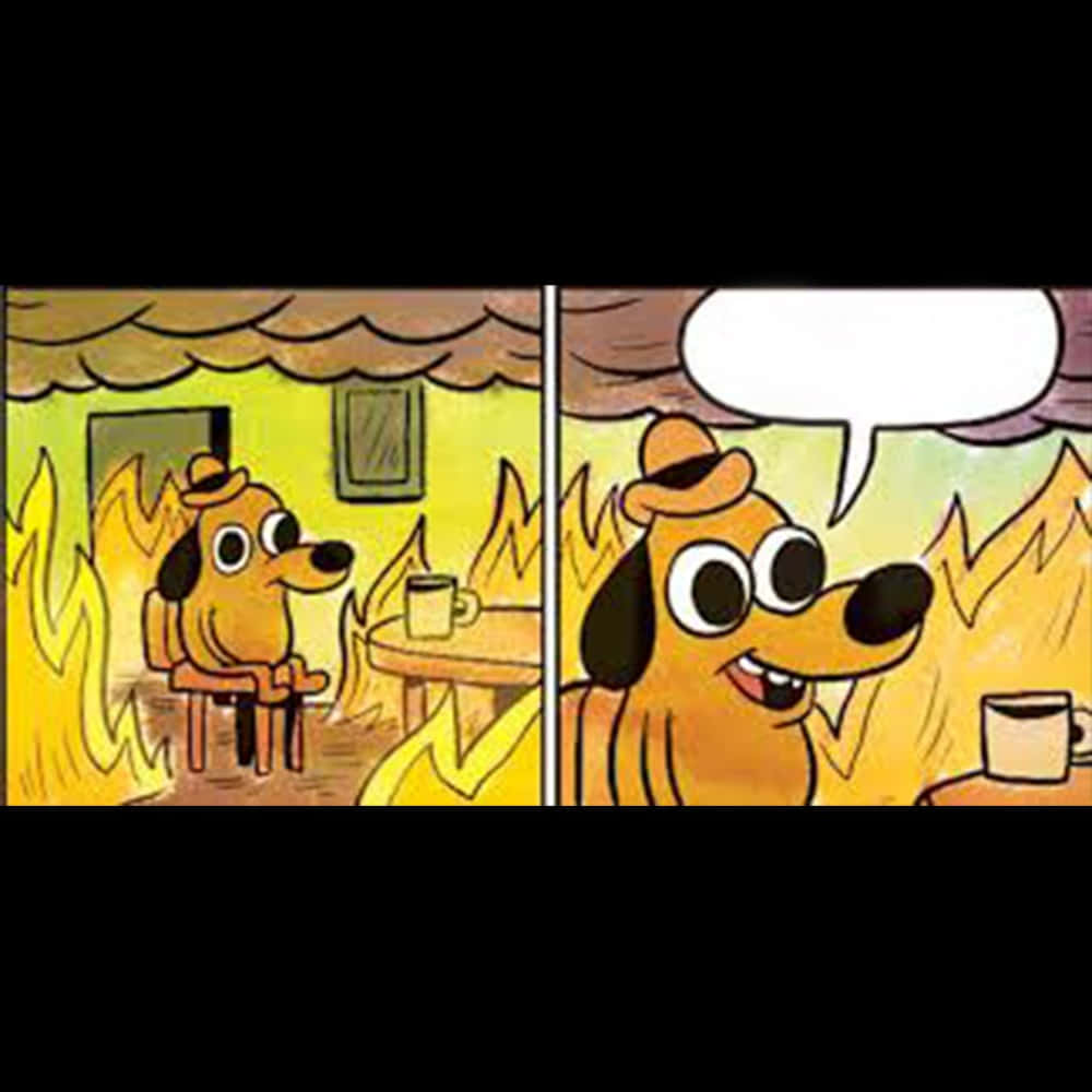 This Is Fine Dog Saying Nothing Wallpaper