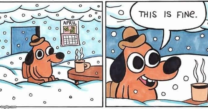 This Is Fine Dog With A Snowy House Wallpaper