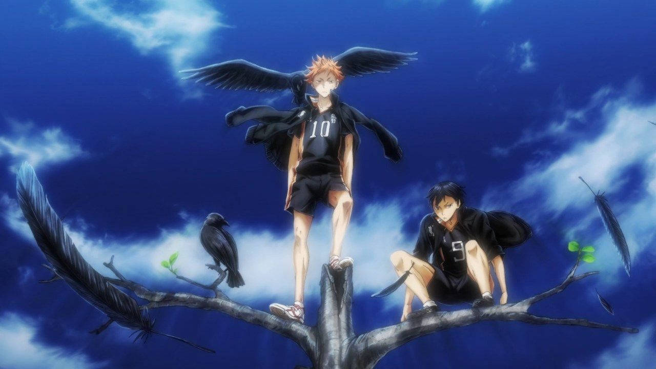 Together, Hinata And Kageyama Topple All Opponents. Wallpaper