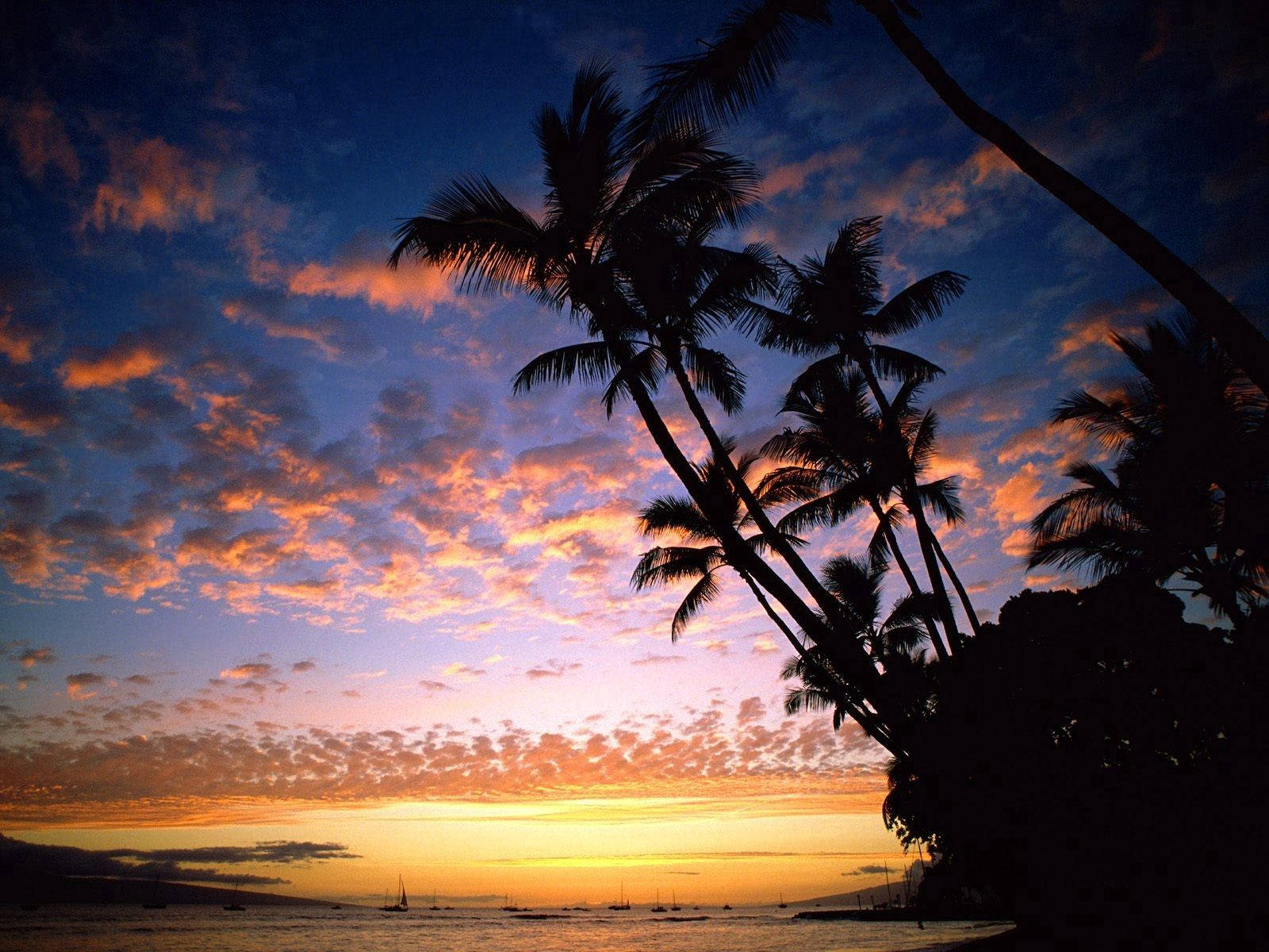 Tranquil Sunset At Hawaii Island Wallpaper