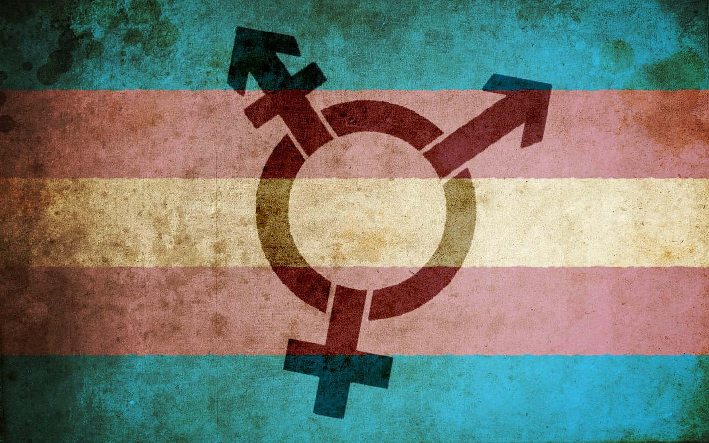 Trans People Celebrating Inclusivity And Diversity Wallpaper