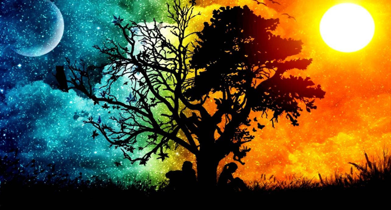 Tree Silhouette All Best Wallpaper