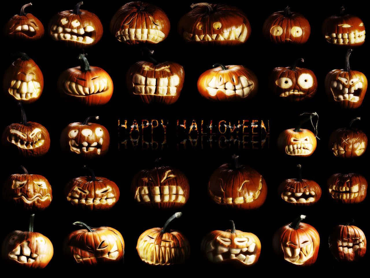 Trick Or Treat! The Perfect Way To Celebrate Halloween This Year! Wallpaper