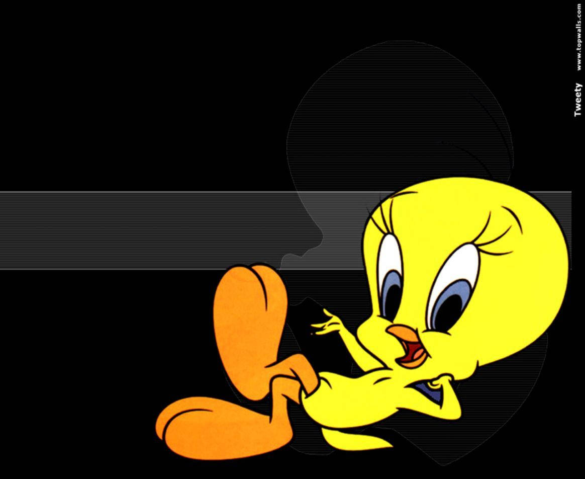 Tweety Bird Chilling Wallpaper