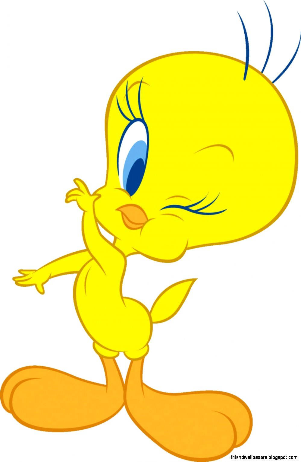 Tweety Bird Standing Cute Wallpaper