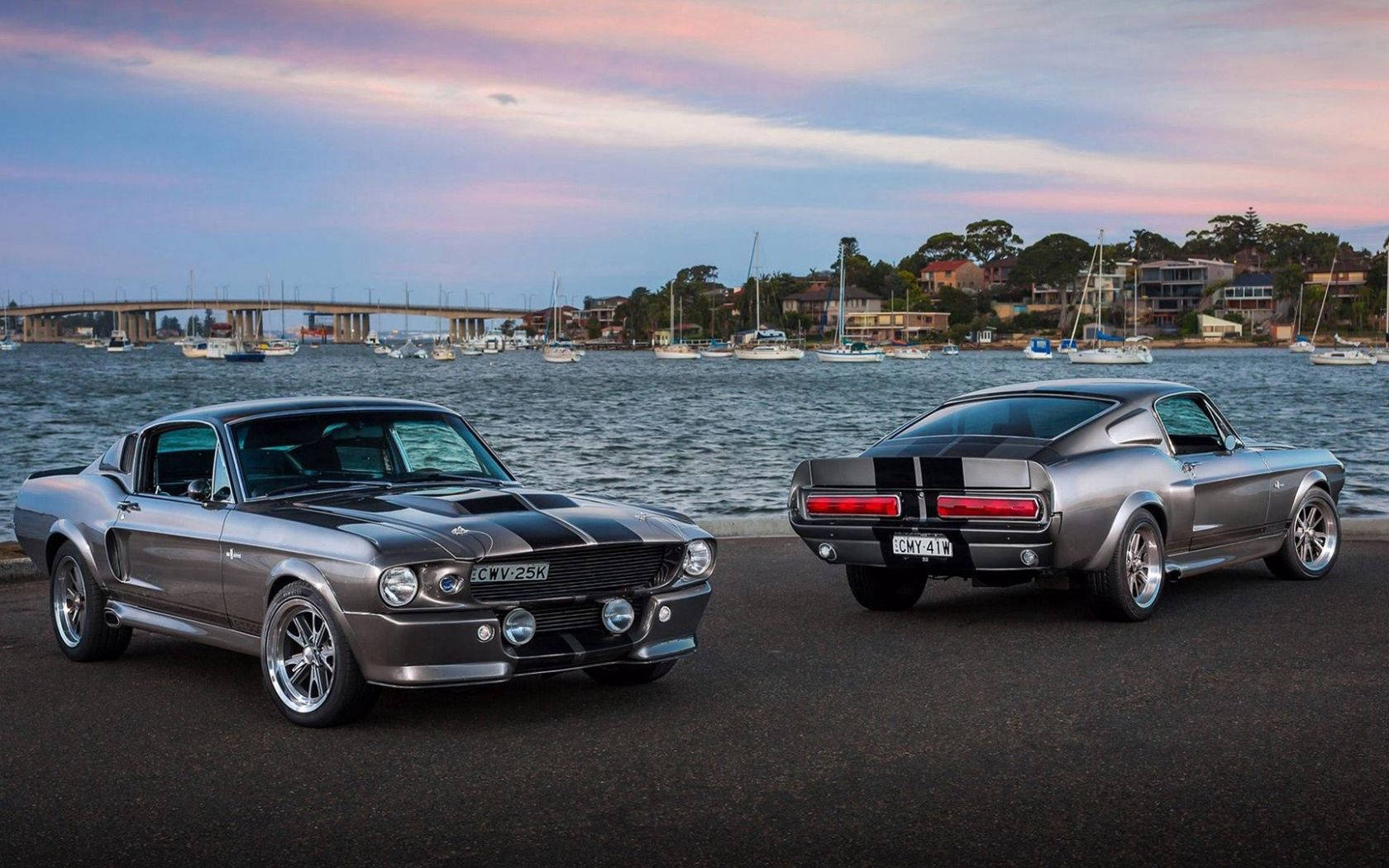 Two Silver Ford Mustangs Parked At Port-side Wallpaper