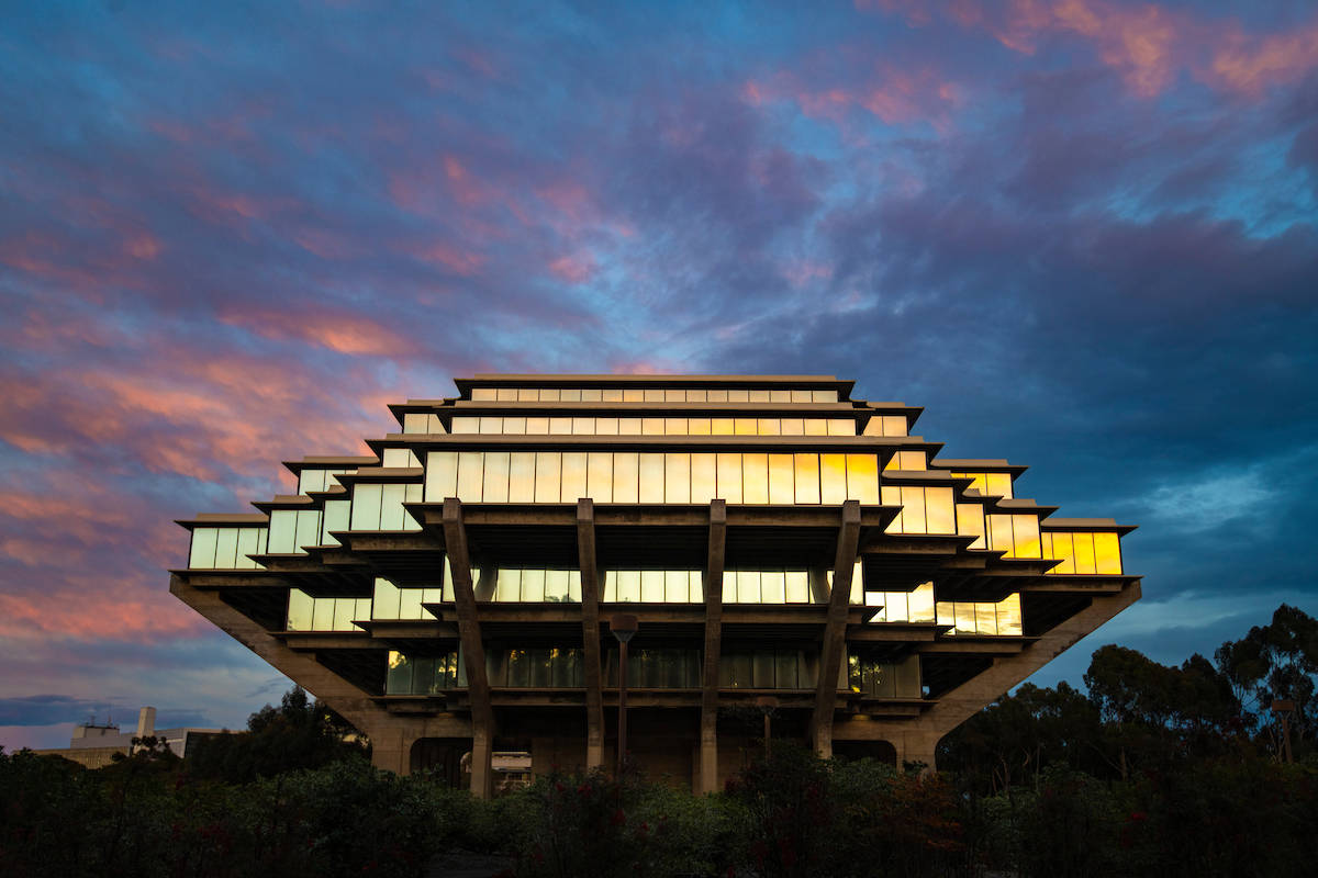 Ucsd Sunset Lights Wallpaper