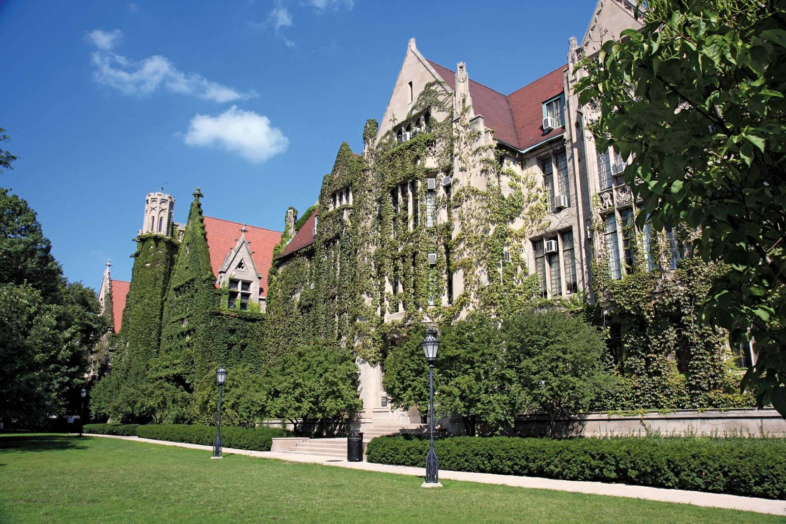 University Of Chicago Hedges Wallpaper