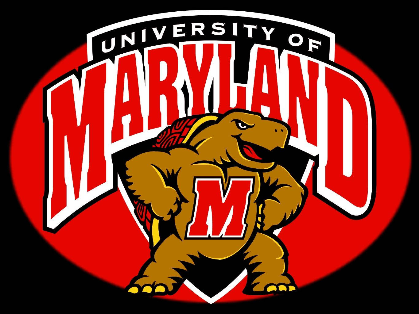 University Of Maryland Terrapin Wallpaper