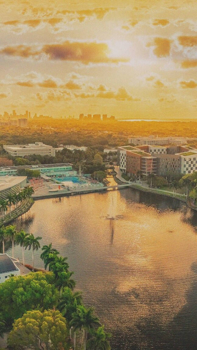 University Of Miami Campus At Noon Wallpaper