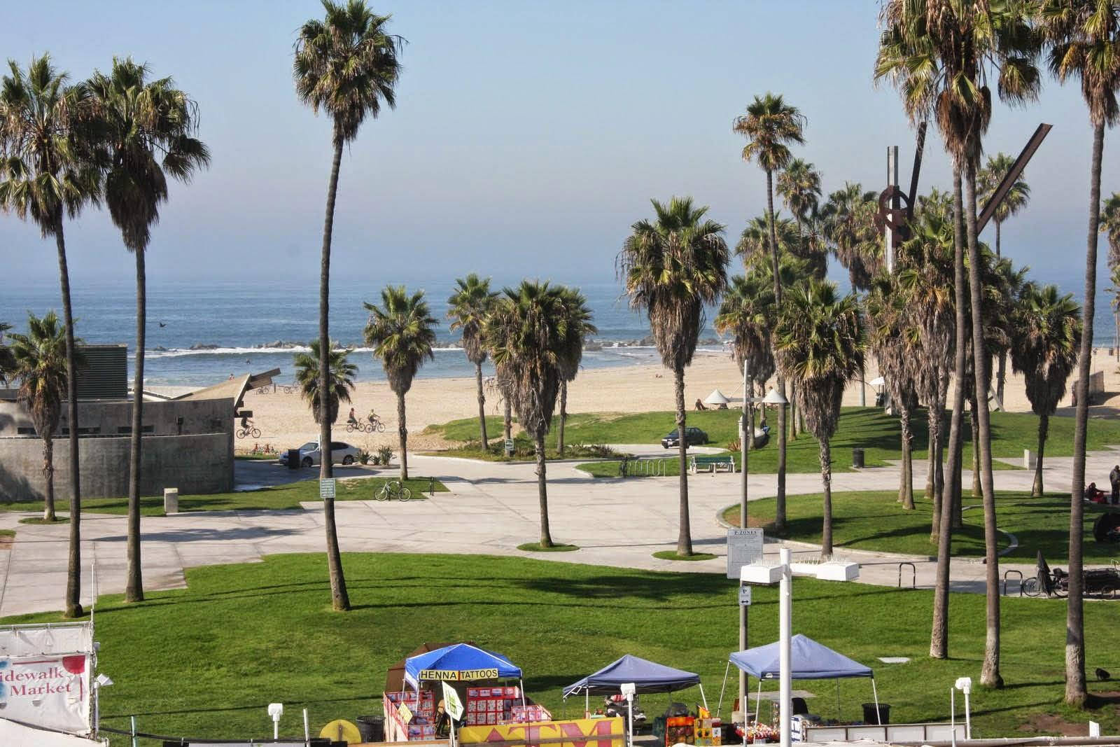 Venice Beach Green Grass Trees Wallpaper