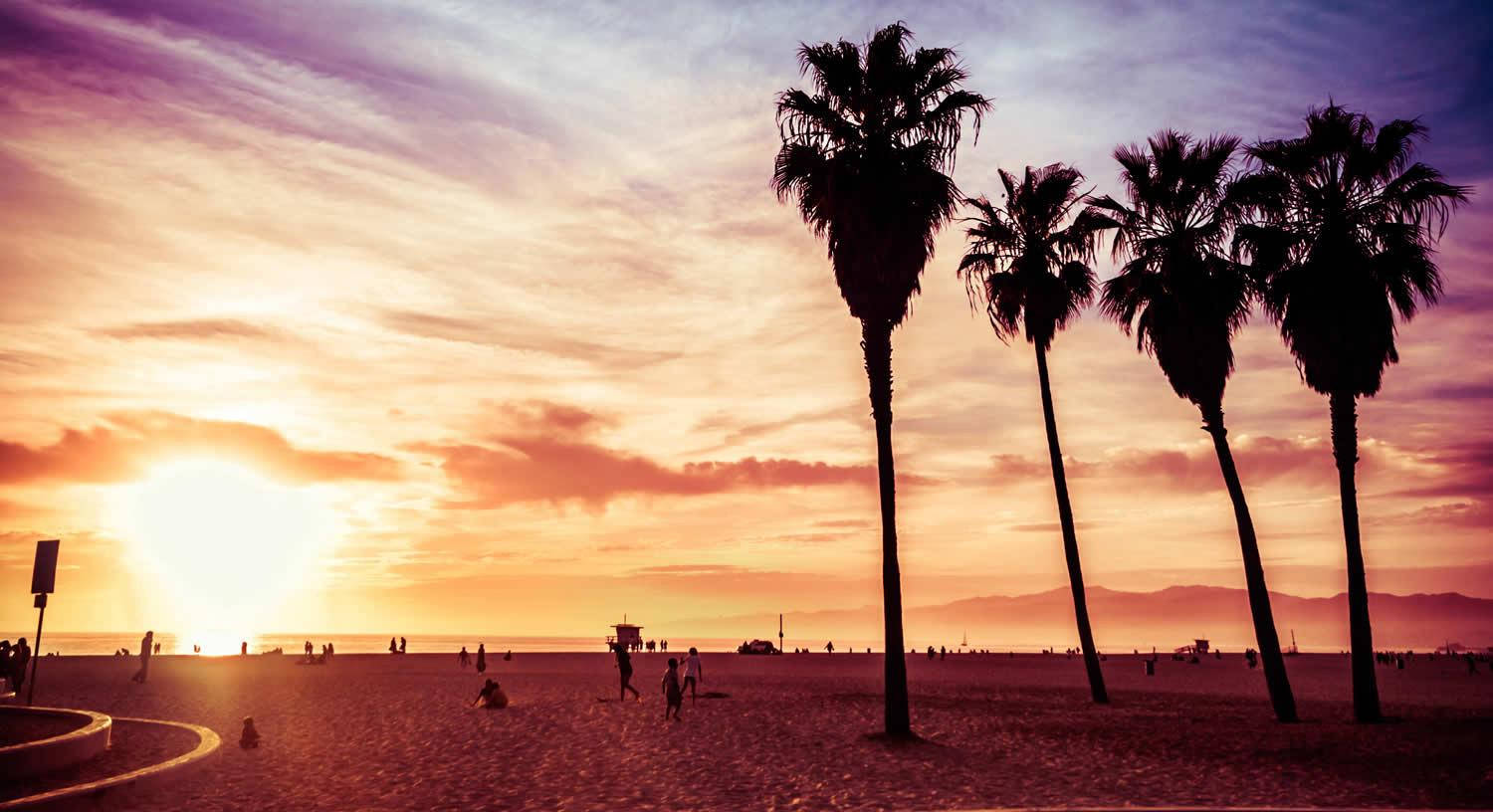 Venice Beach Sun Setting Trees Wallpaper