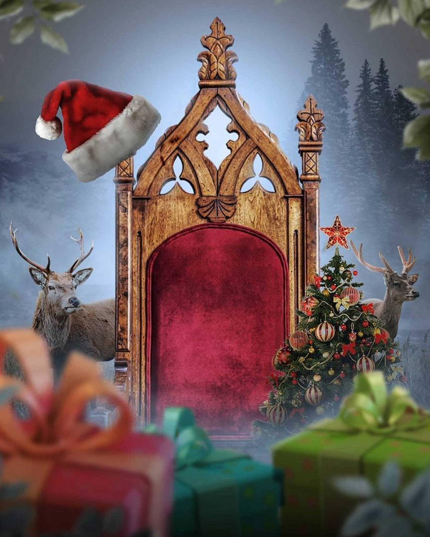 Vijay Mahar Holiday Throne Wallpaper