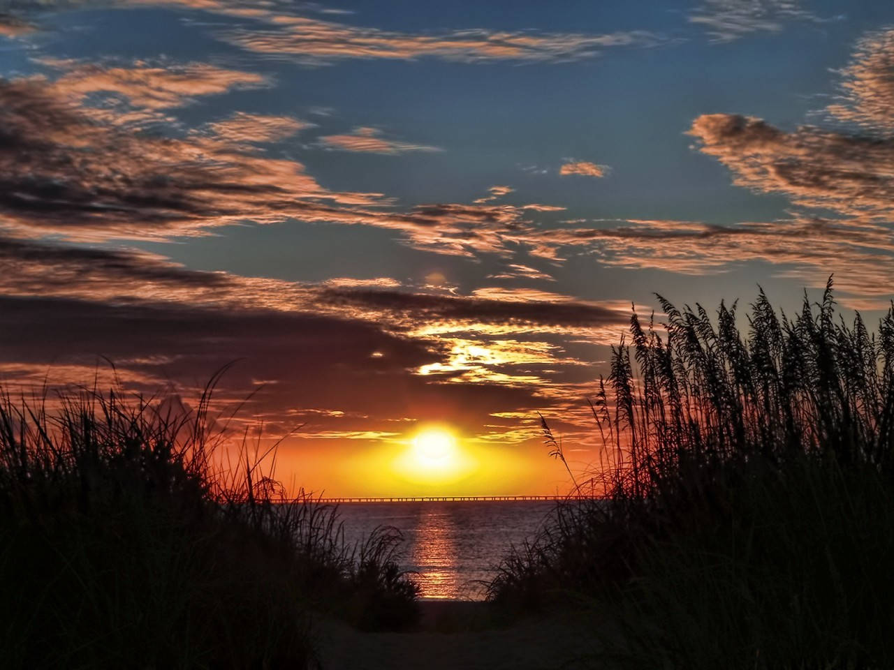 Virginia Beach Sunset Tall Grass Wallpaper