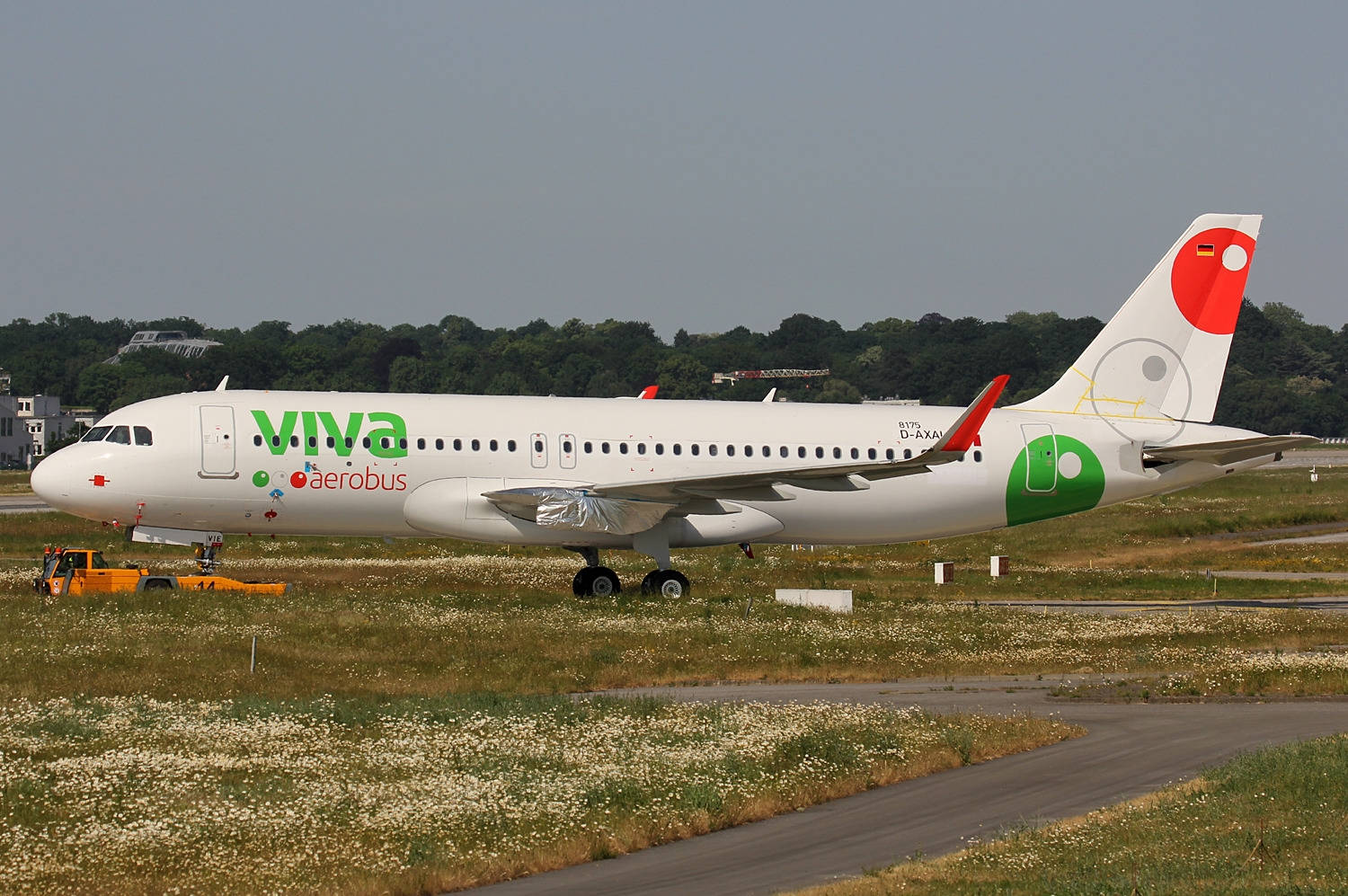 Viva Aerobus On Grass Wallpaper