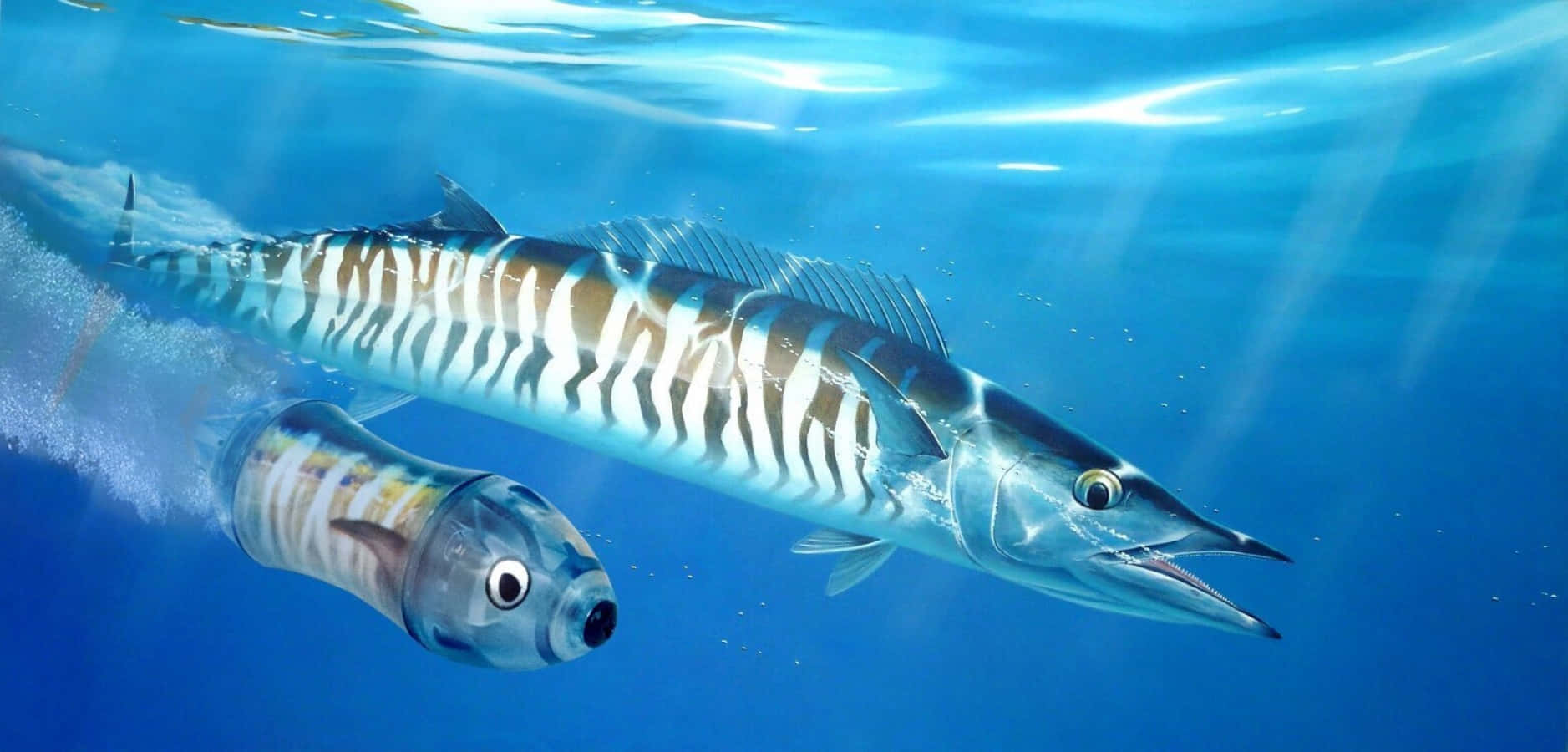 Wahoo Fish Swimming Underwater.jpg Wallpaper