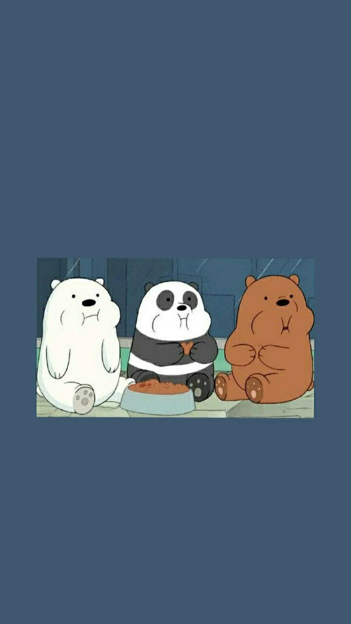 We Bare Bears Aesthetic Dark Blue Wallpaper