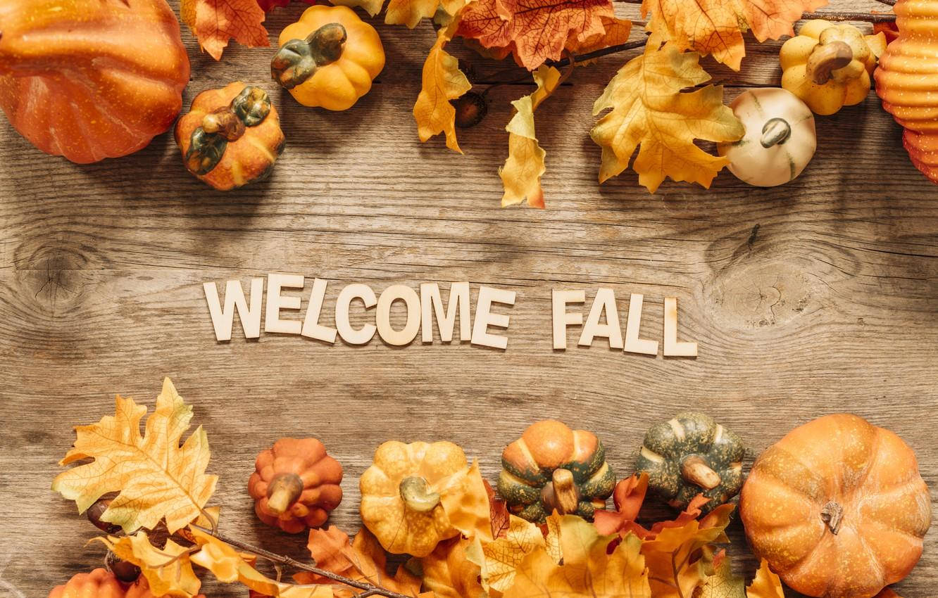 Welcome Fall Halloween Wallpaper