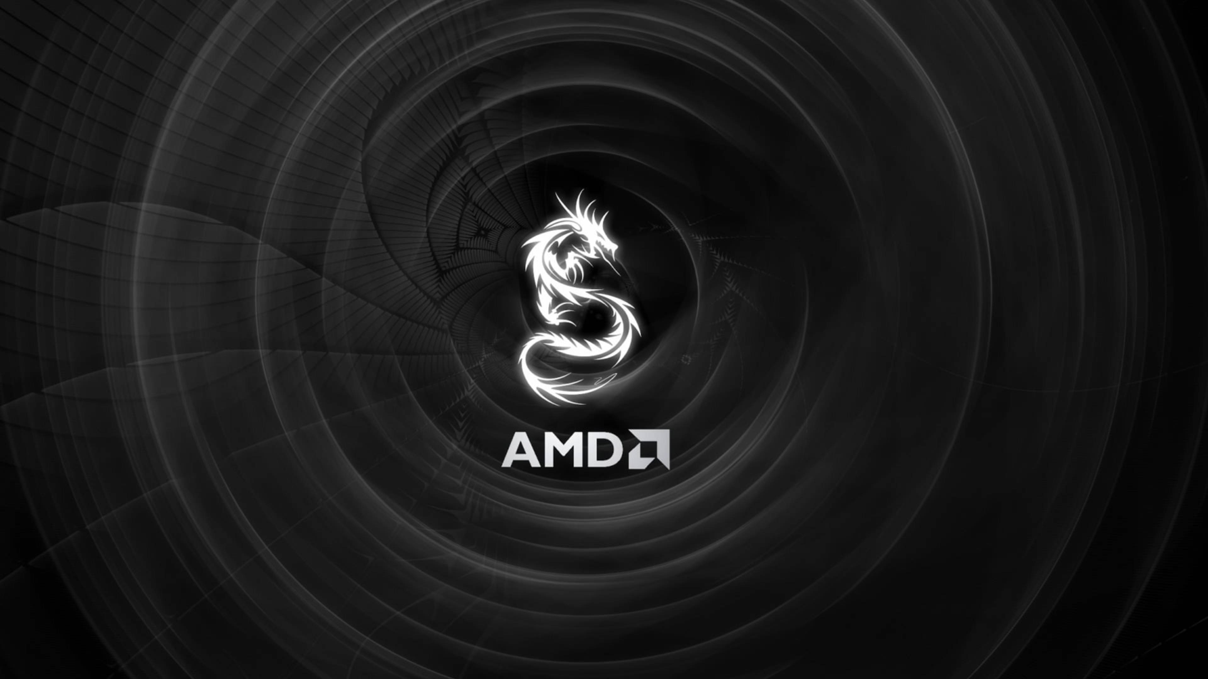 White Amd 4k Dragon Wallpaper