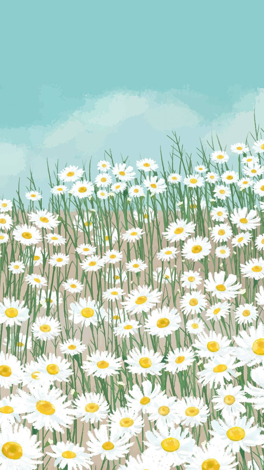 White Daisy Aesthetic Cute Art Wallpaper