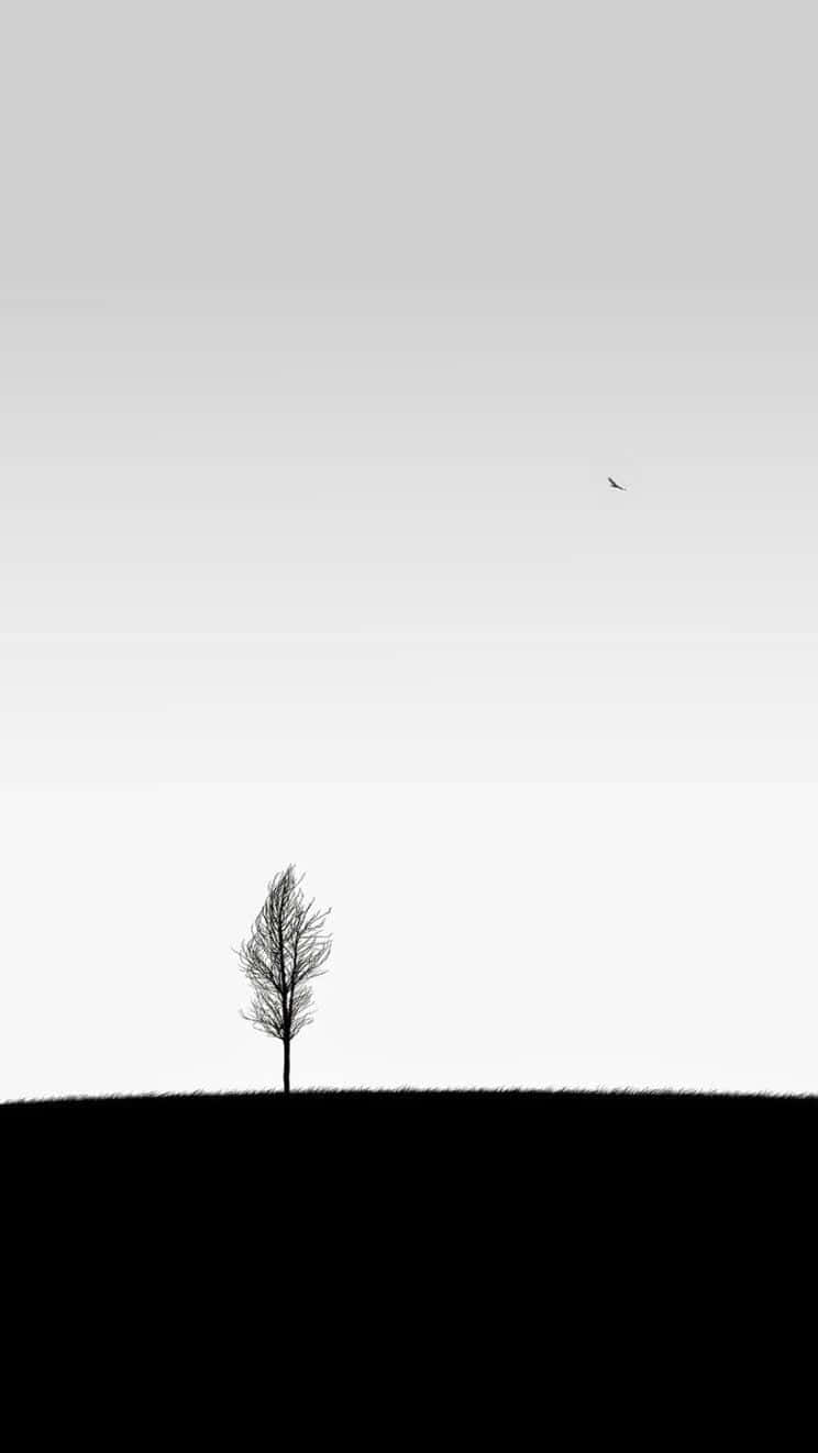 White Minimalist Tree Iphone Wallpaper