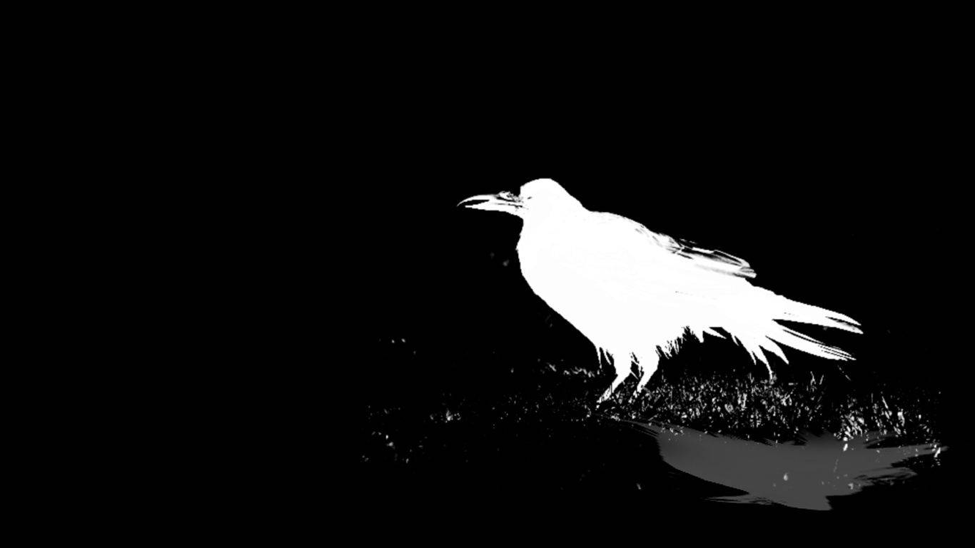 White Raven Graphic Art Wallpaper