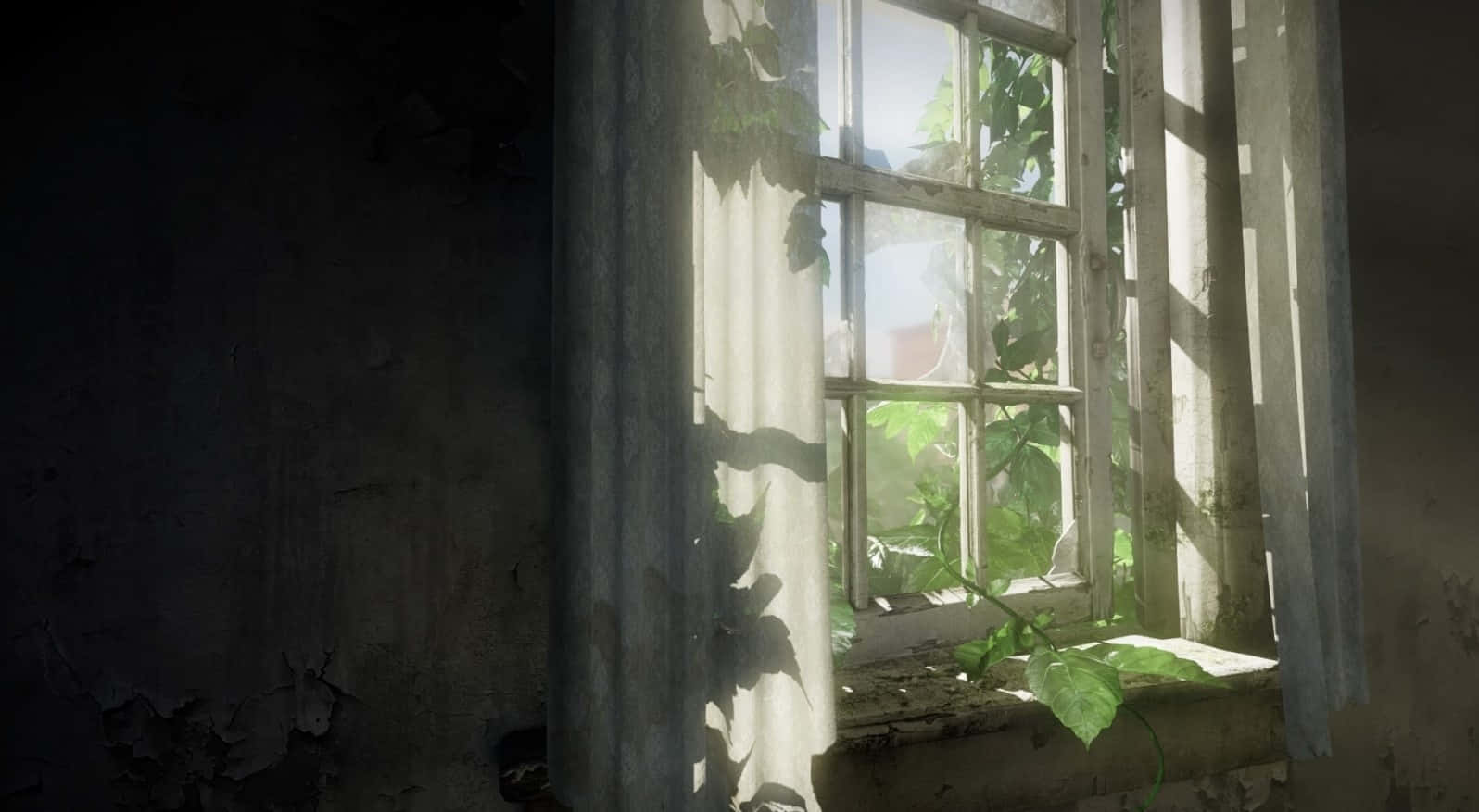 Window Sunlight Beam Wallpaper