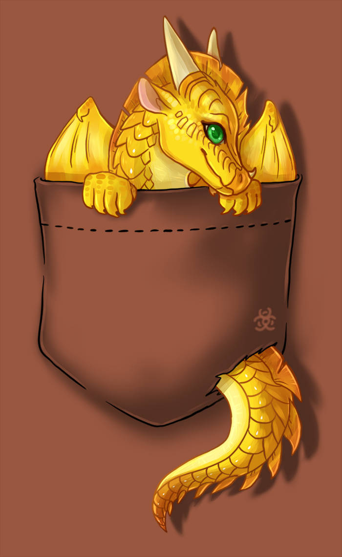 Wings Of Fire Sunny In Pocket Wallpaper