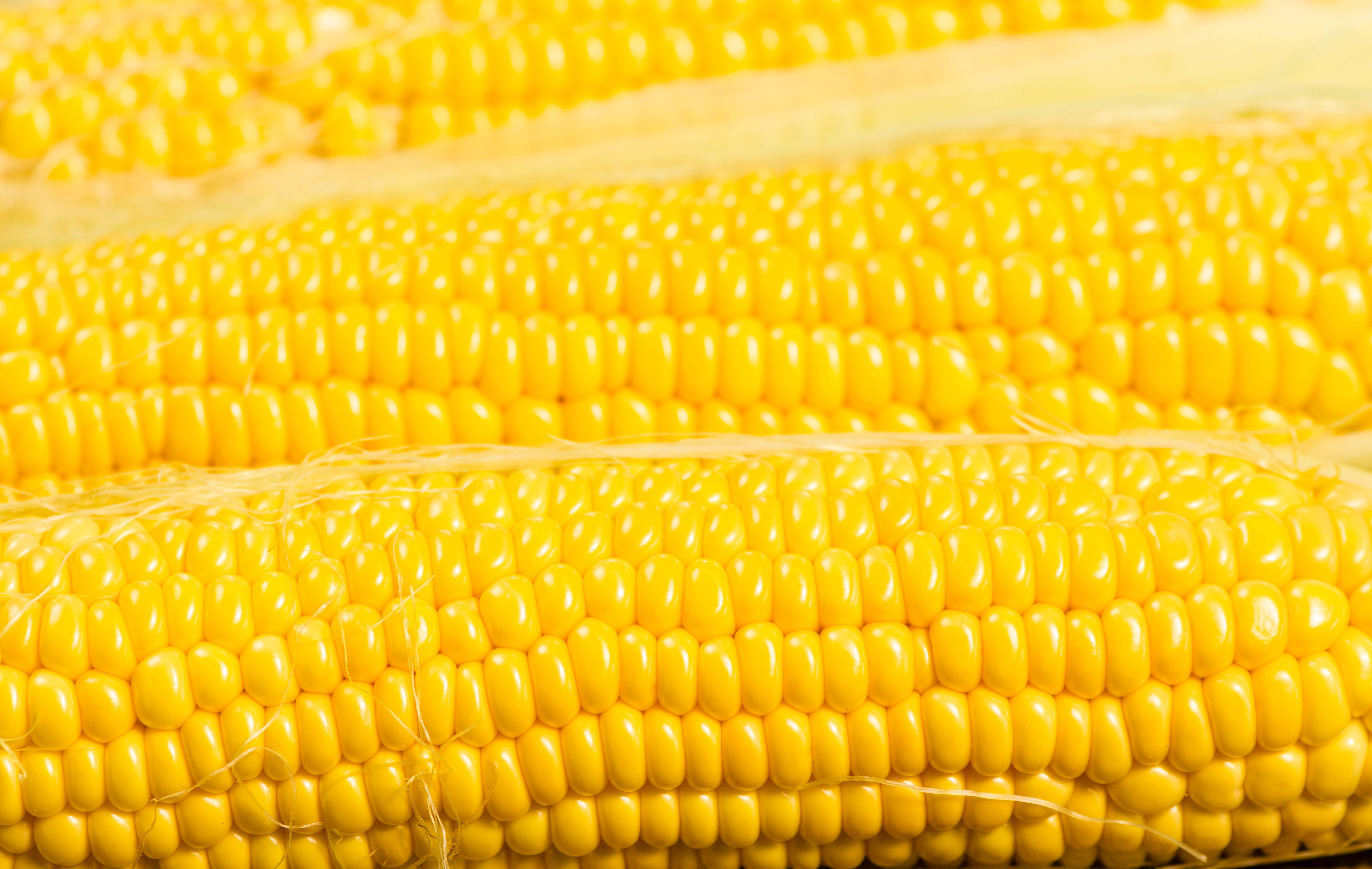 Yellow Aesthetic Laptop Corn Wallpaper